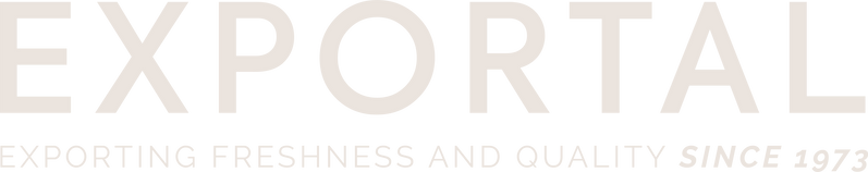 Exportal logo